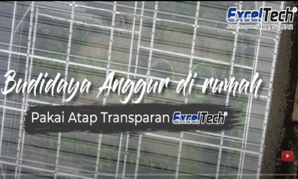 Gambar Budi Daya Anggur Memakai Atap Transparan PC